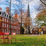 Broadcom stock forecast ahead of earnings: is AVGO priced to perfection?